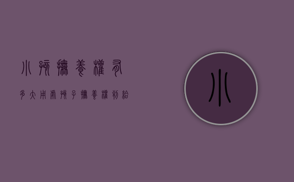 小孩抚养权有多大用处（孩子抚养权判给谁）