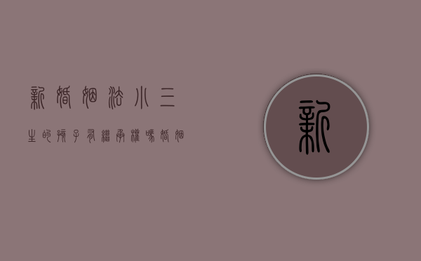 新婚姻法小三生的孩子有继承权吗（婚姻法小三生的孩子有继承权吗）
