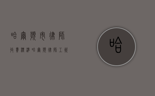 哈尔滨市律师收费标准（哈尔滨律师工资收入）