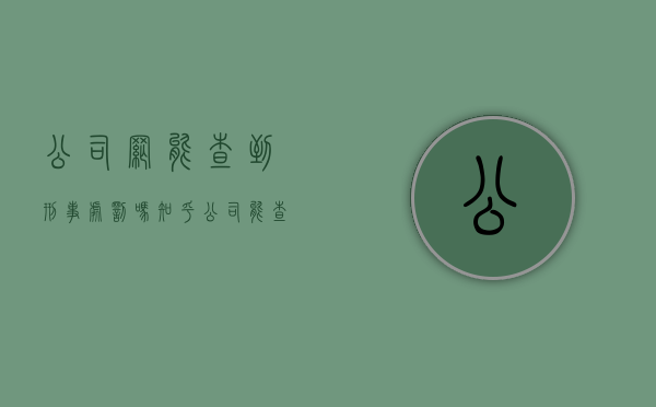 公司网能查到刑事处罚吗知乎（公司能查到刑事案底吗）