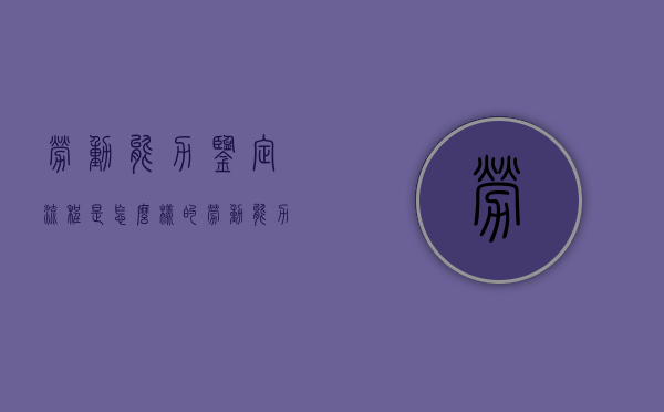 劳动能力鉴定流程是怎么样的（劳动能力鉴定流程图）
