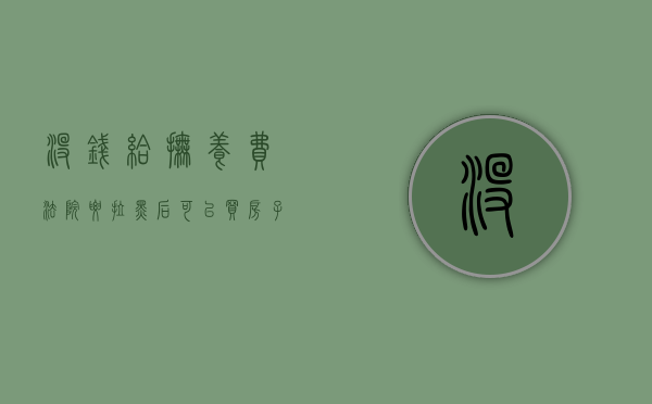 没钱给抚养费法院要拉黑后可以买房子吗（未付抚养费被法院强制执行,付钱后对购房贷款有何影响）