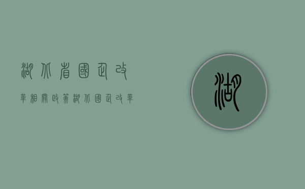 湖北省国企改革相关政策（湖北国企改革最新）
