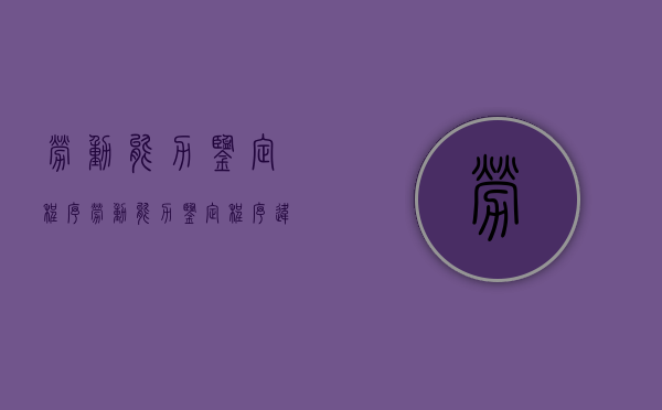 劳动能力鉴定程序（劳动能力鉴定程序违法起诉状怎么写）