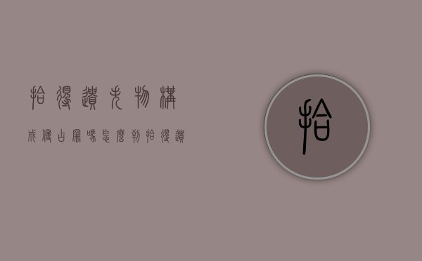 拾得遗失物构成侵占罪吗怎么判（拾得遗失物构成侵占罪吗怎么处理）