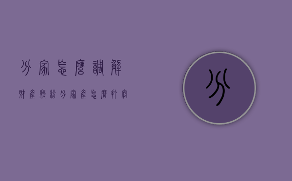 分家怎么调解财产纠纷（分家产怎么打官司）