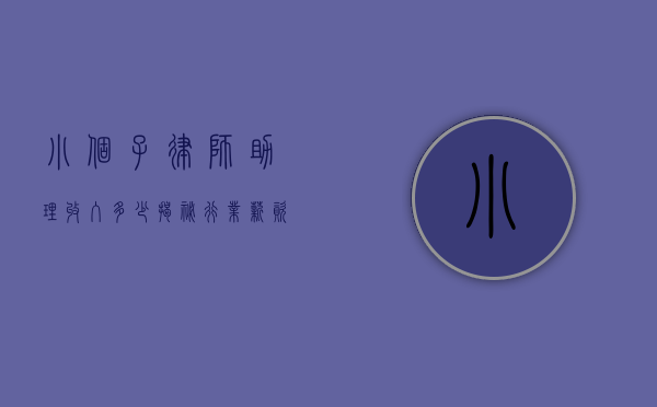 小个子律师助理收入多少？揭秘行业薪资与发展