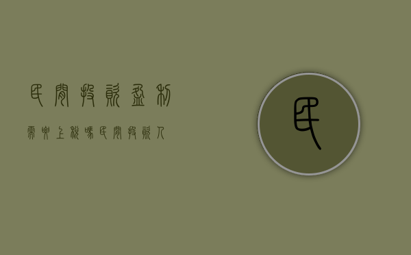 民间投资盈利需要上税吗（民间投资人）