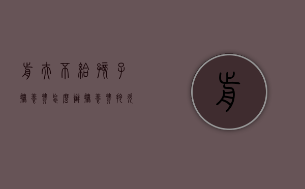 前夫不给孩子抚养费怎么办（抚养费拖欠多久会判刑）