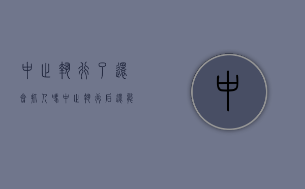中止执行了还会抓人吗（中止执行后还能执行吗）