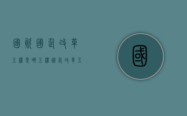 国资国企改革五权是哪五权（国企改革五权是哪五权）