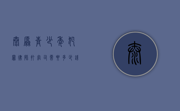 太原青少年犯罪律师打官司需要多少钱（青少年法律顾问工作内容）