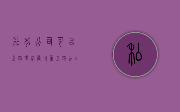 私有公司可以上市吗（私营企业上市公司条件）
