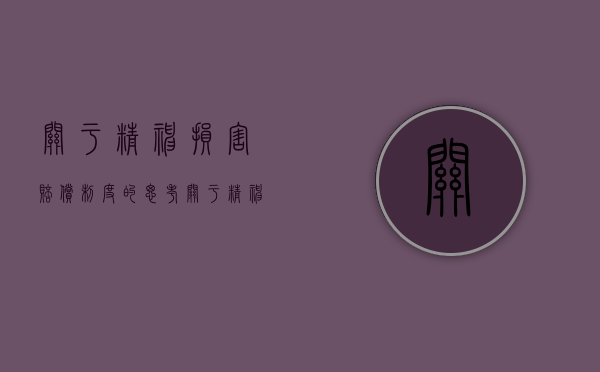 关于精神损害赔偿制度的思考（关于精神损害赔偿制度的思考论文）