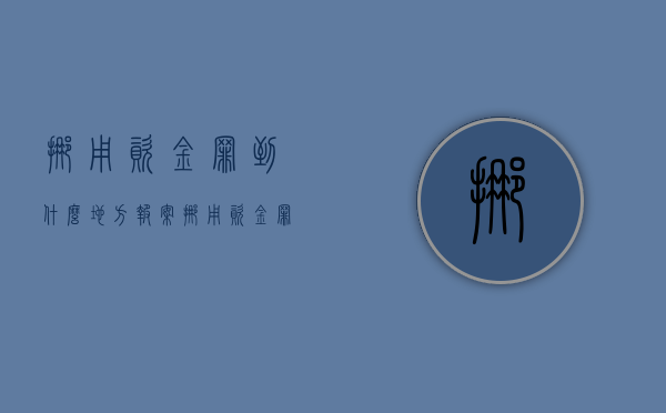 挪用资金罪到什么地方报案（挪用资金罪去哪里报案）