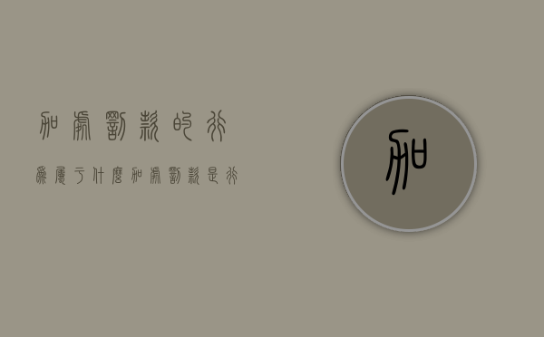 加处罚款的行为属于什么（加处罚款是行政强制吗为什么）