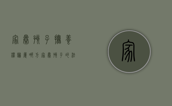 家暴孩子抚养权归属哪方？（家暴孩子的法律规定有哪些）