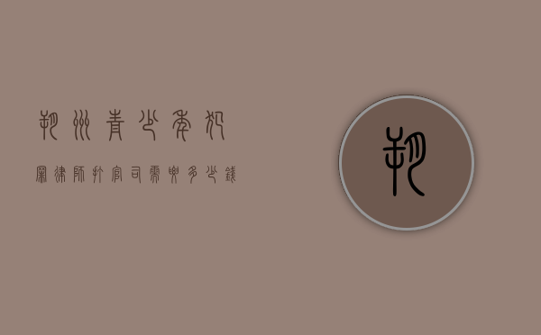 朔州青少年犯罪律师打官司需要多少钱（2020年青少年真实法律案件）