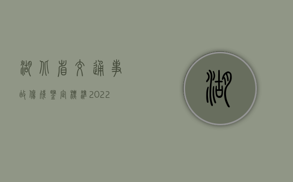 湖北省交通事故伤残鉴定标准2022年依据是什么（2024年湖北省交道事故人身损害赔偿赔偿标准）