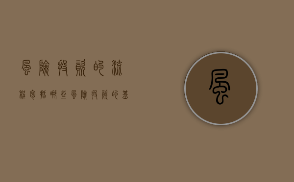 风险投资的流程包括哪些（风险投资的基本流程）