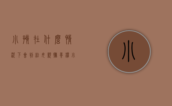 小孩在什么情况下会判给母亲抚养权（小孩在什么情况下会判给母亲抚养费）