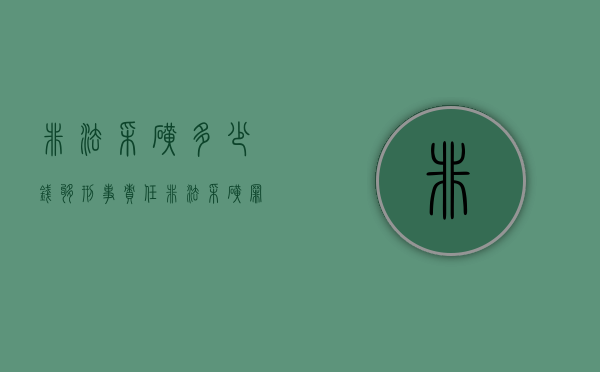 非法采矿多少钱够刑事责任（非法采矿罪定罪）