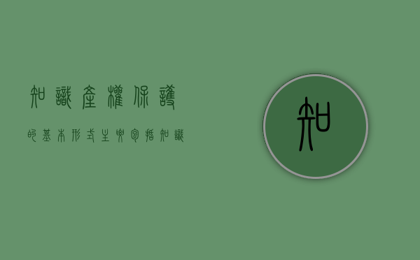 知识产权保护的基本形式主要包括（知识产权的保护模式）