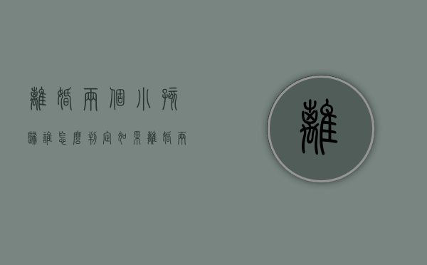 离婚两个小孩归谁怎么判定（如果离婚两个小孩怎么分配）
