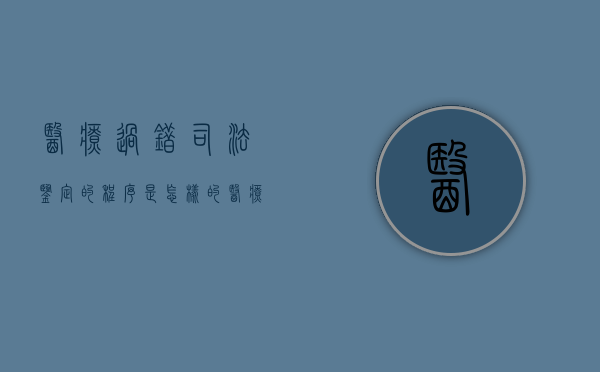医疗过错司法鉴定的程序是怎样的（医疗过错司法鉴定意见陈述书）