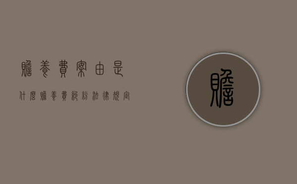 赡养费案由是什么（赡养费纠纷法律规定）