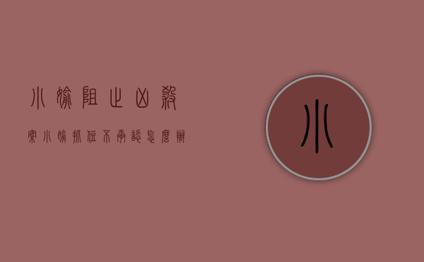 小偷阻止凶杀案（小偷抓住不承认怎么办）