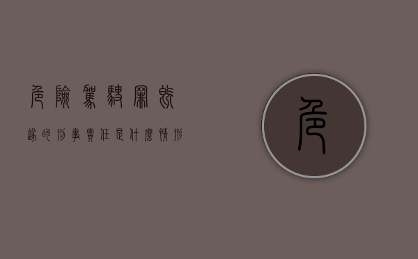 危险驾驶罪既遂的刑事责任是什么情形（危险驾驶罪既遂标准）