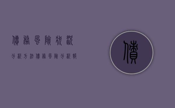 债务风险状况分析方法（债务风险分析报告）