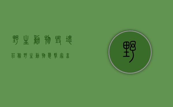 野生动物毁坏庄稼（野生动物袭击家畜）