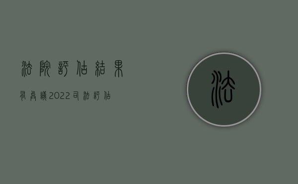 法院评估结果有异议（2022司法评估异议处理有什么流程）