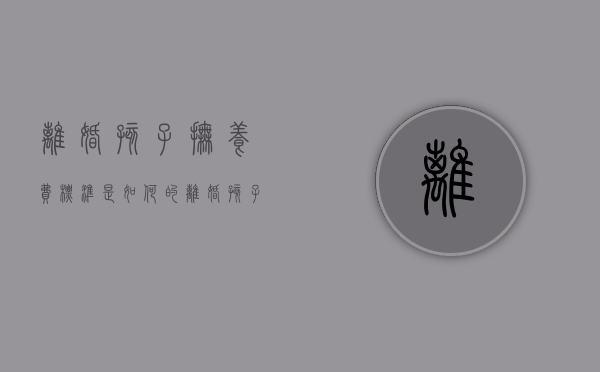 离婚孩子抚养费标准是如何的（离婚孩子抚养费该怎么算）
