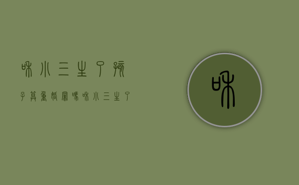 和小三生了孩子算重婚罪吗（和小三生了孩子算事实婚姻吗）