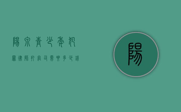 阳泉青少年犯罪律师打官司需要多少钱（青少年律师咨询）