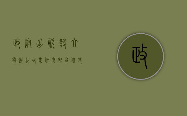 政府出资设立投资公司是什么性质（镇政府出资设立公司）
