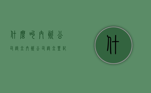 什么叫内资公司设立（内资公司设立登记流程）