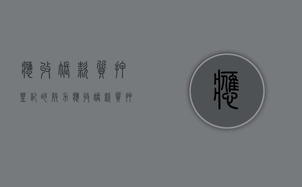 应收账款质押登记的效力（应收账款质押登记操作规程）