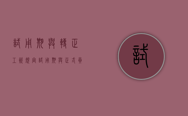试用期与转正工资规定（试用期与正式员工区别）