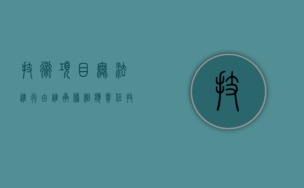 技术项目无法进行,由谁承担相应责任（技术项目分类包括）