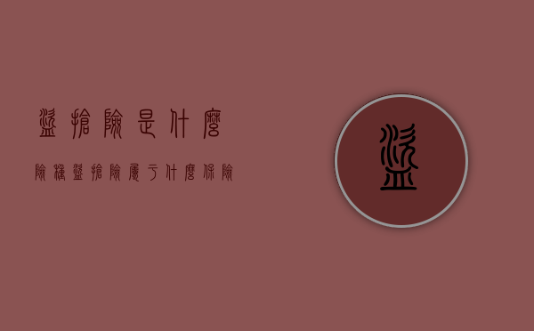 盗抢险是什么险种（盗抢险属于什么保险）