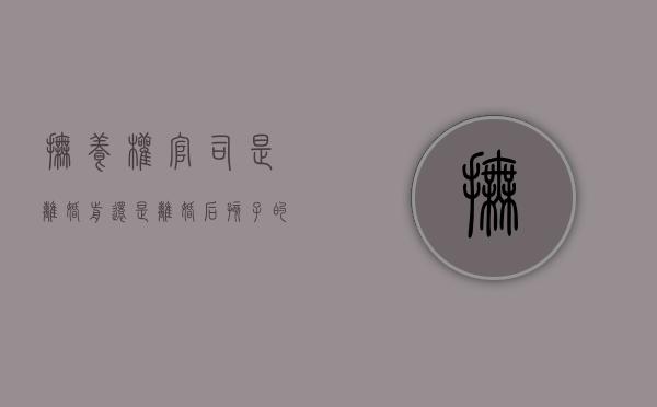抚养权官司是离婚前还是离婚后（孩子的抚养权是离婚前还是离婚以后）