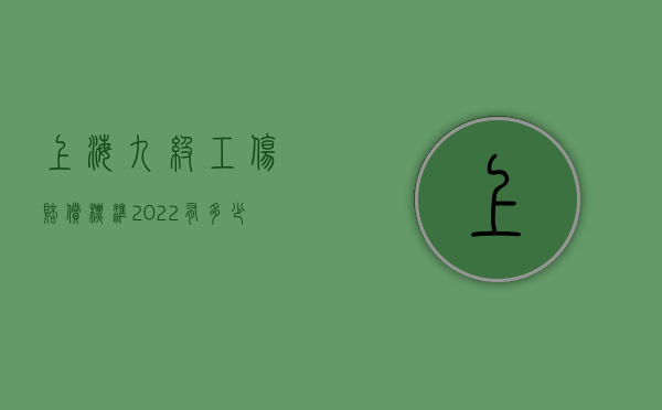 上海九级工伤赔偿标准2022有多少钱（上海市工伤九级赔偿标准）