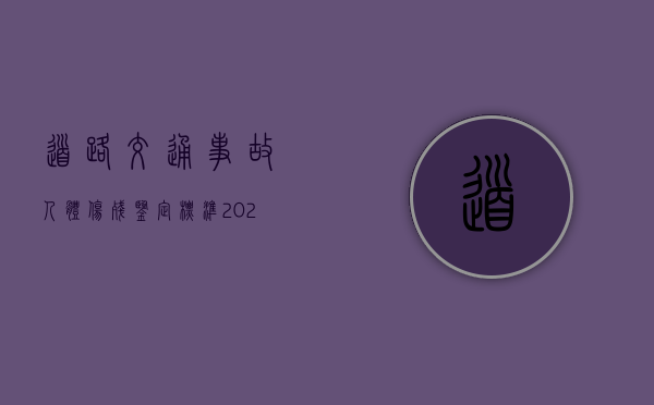 道路交通事故人体伤残鉴定标准2022有哪些？