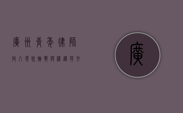 广州青年律师收入现状，挑战与机遇并存