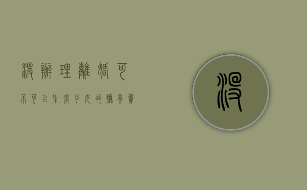 没办理离婚可不可以主张子女的抚养费（没离婚可以要抚养权吗）