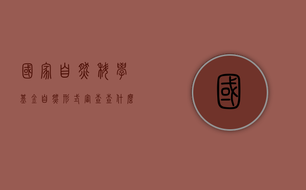 国家自然科学基金自然形式审查查什么（国家自然科学基金如何审计）